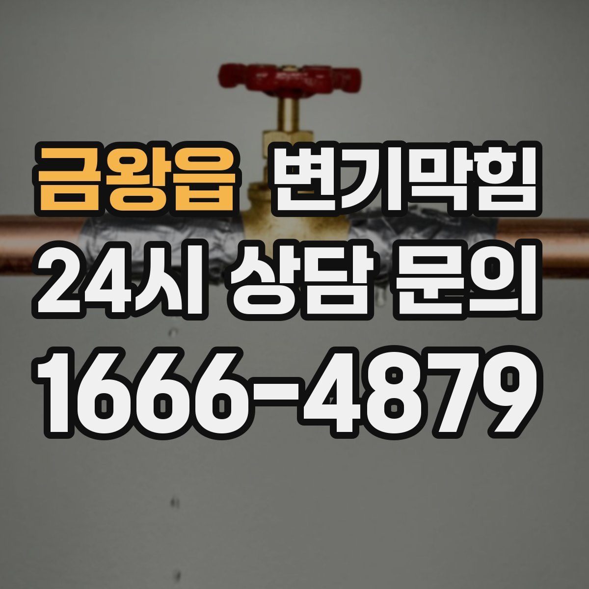 금왕읍 변기막힘