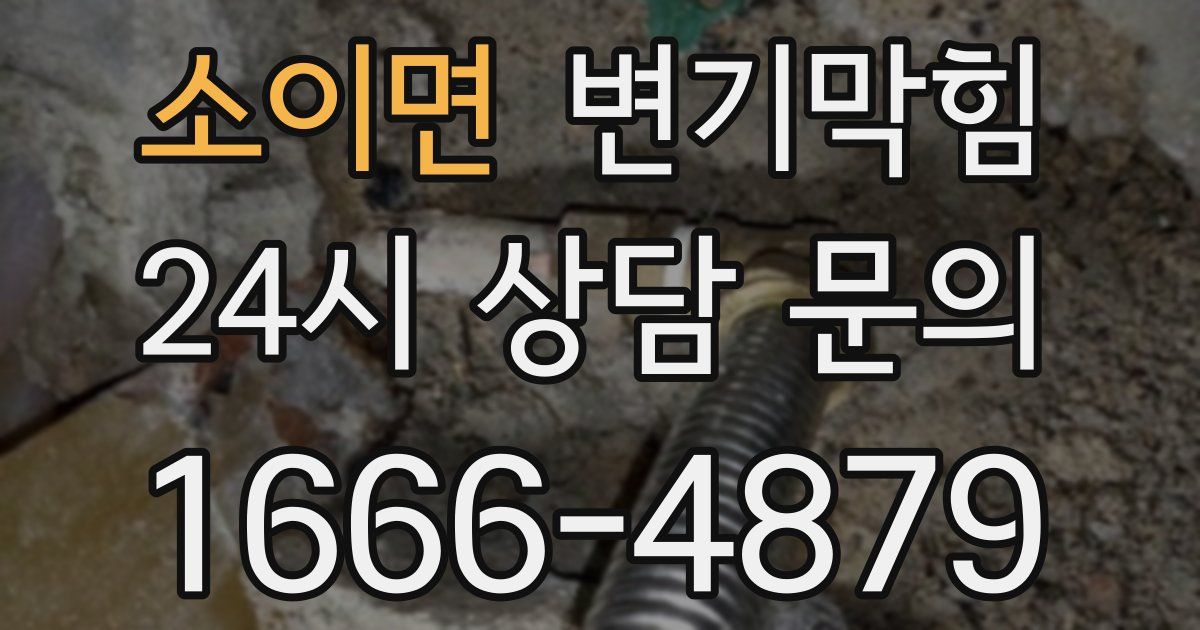 소이면 변기