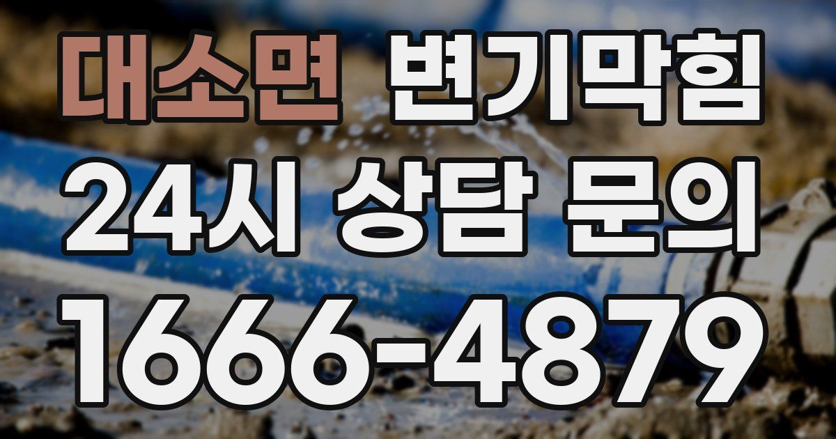 대소면 변기