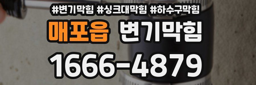 변기막힘