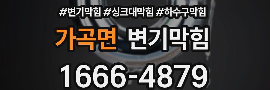 변기막힘