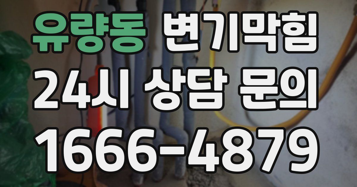 유량동 변기