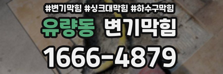 변기막힘
