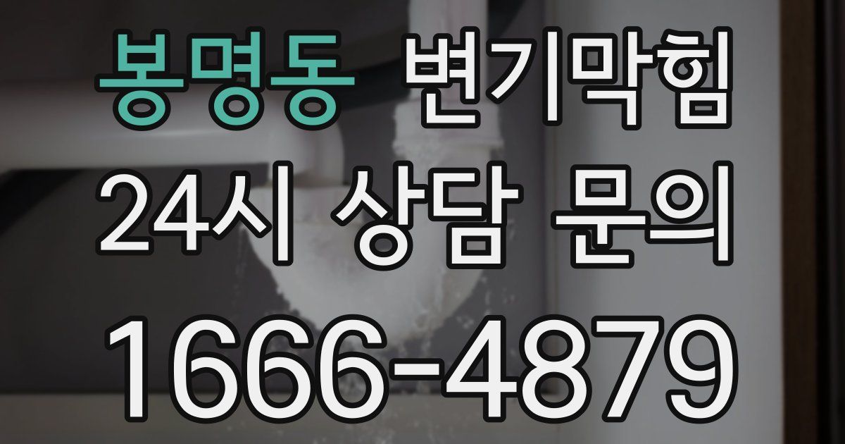 봉명동 변기