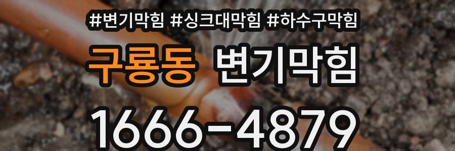 변기막힘