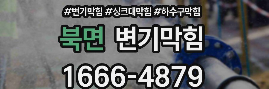 변기막힘