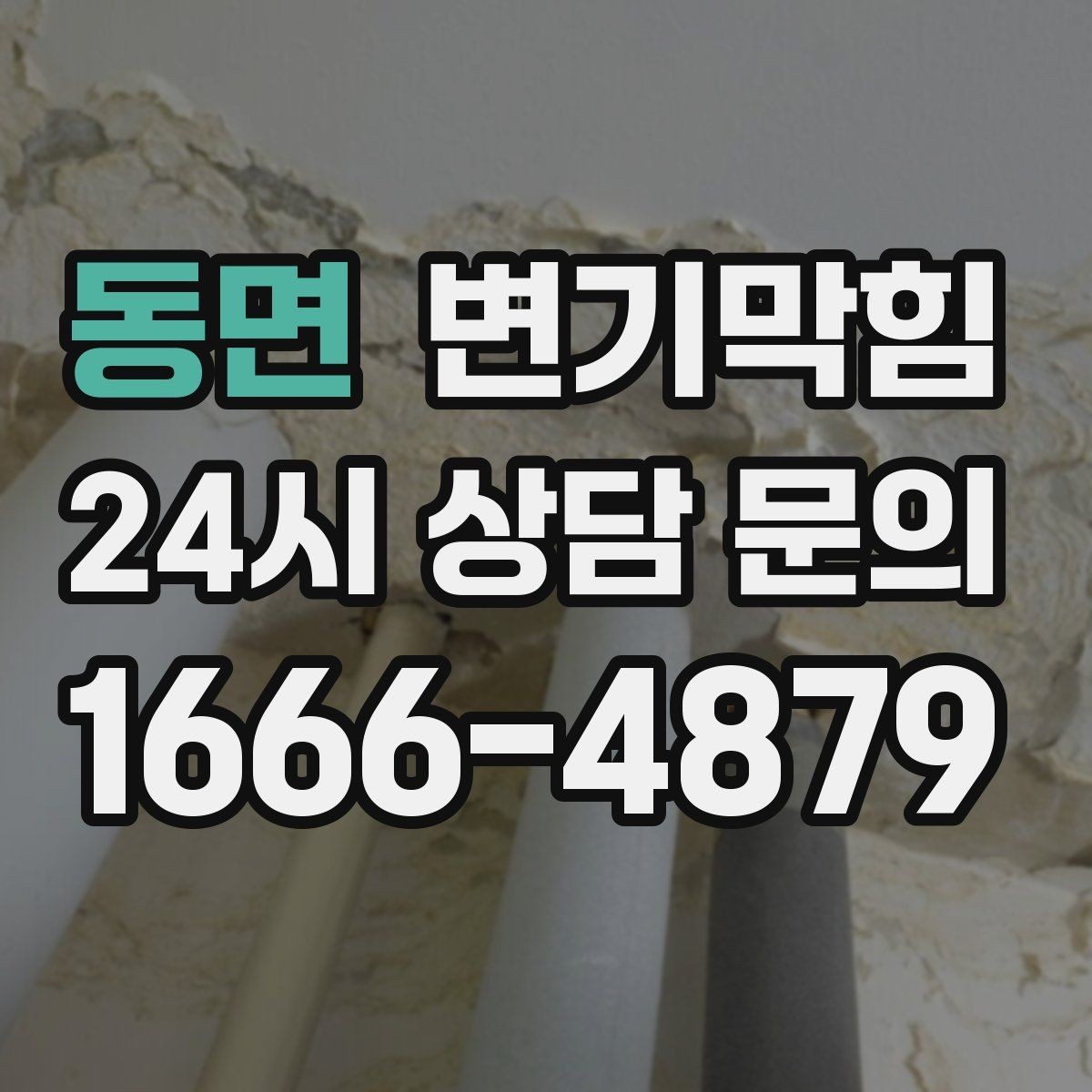 동면 변기막힘 화장실변기막힘 물 내림 후 거품 대응