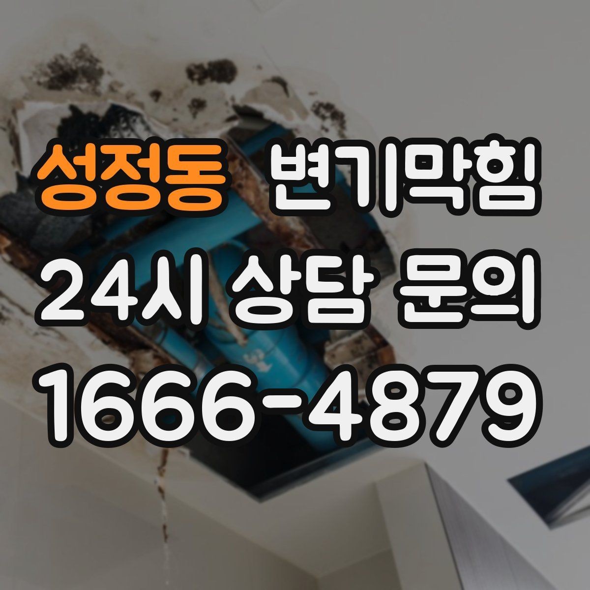 성정동 변기막힘 아파트 화장실역류 우수 유입 차단