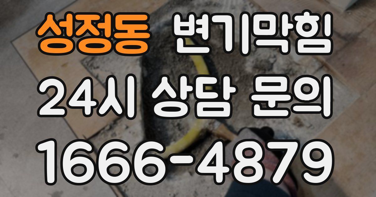 성정동 변기
