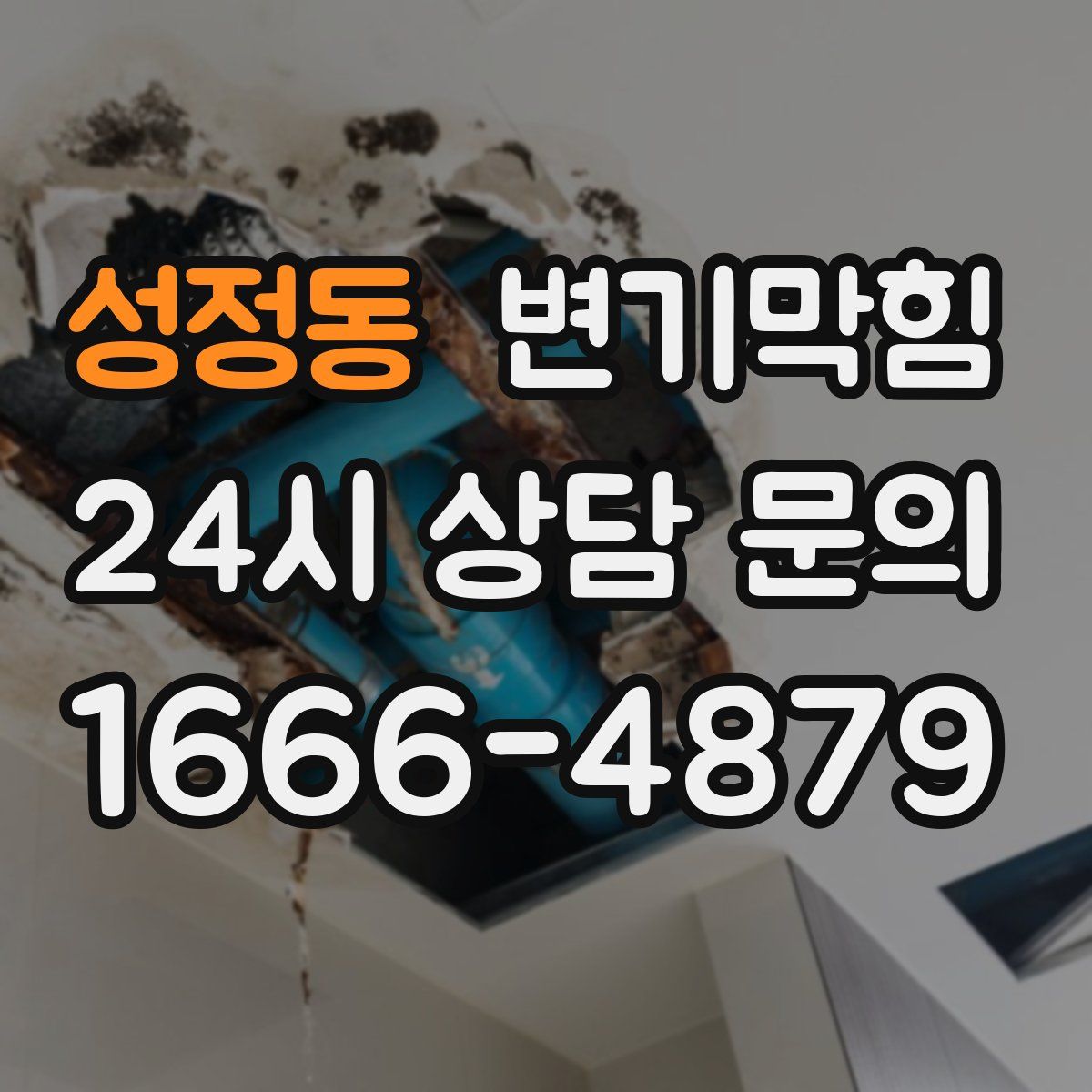 성정동 변기막힘