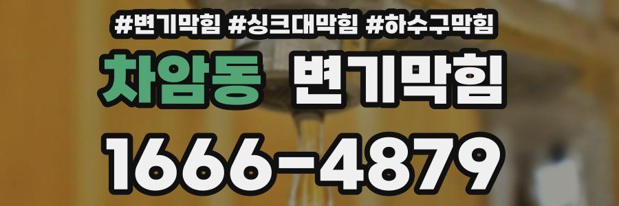 변기막힘