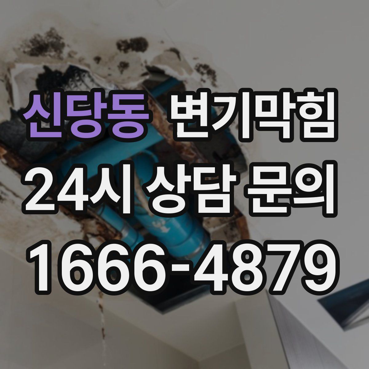 신당동 변기막힘