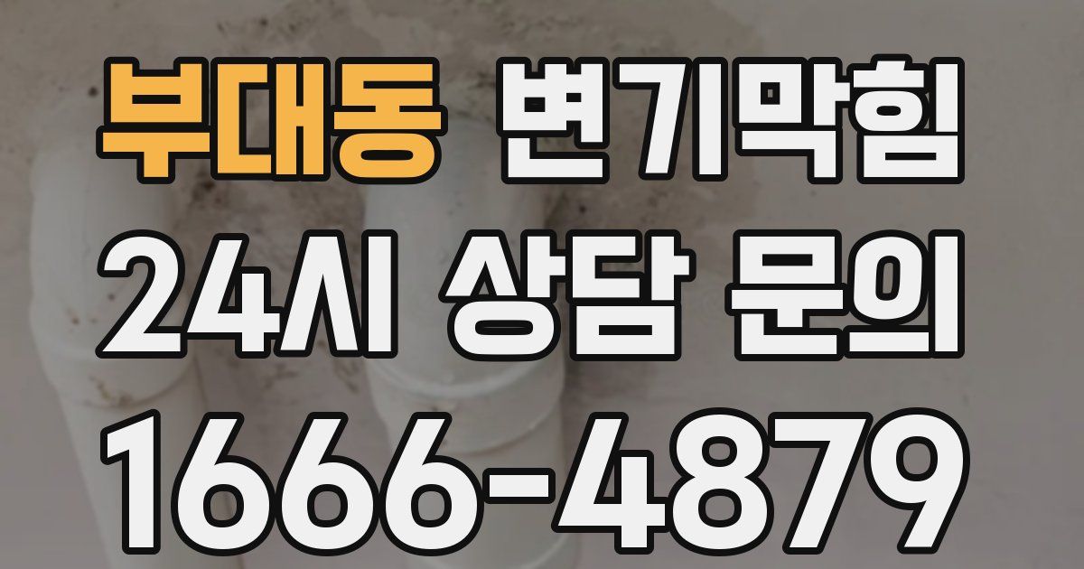 부대동 변기