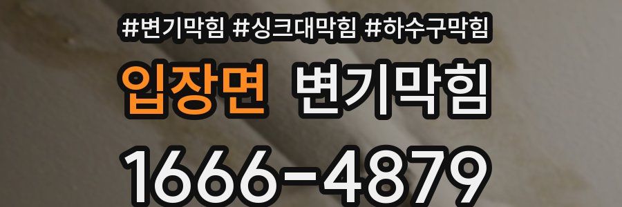 변기막힘