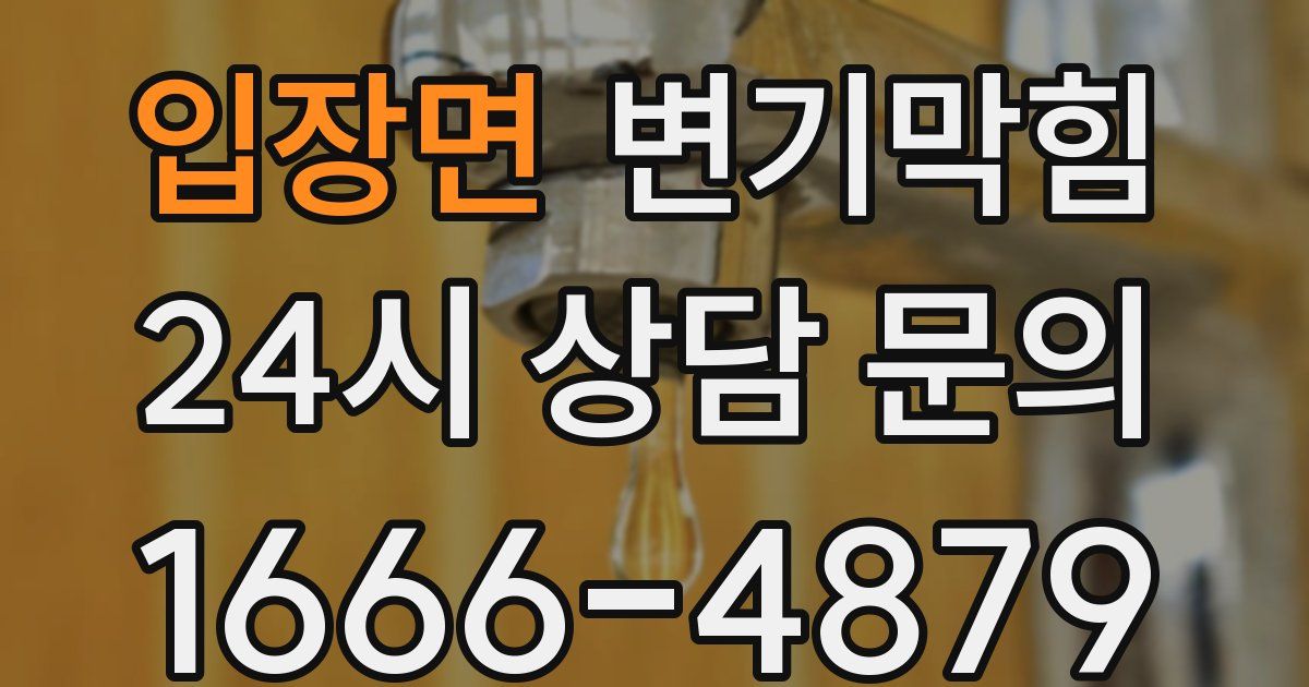 입장면 변기