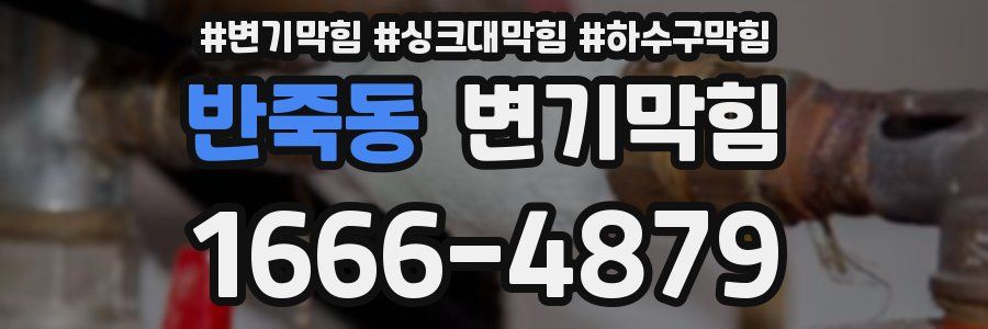 변기막힘