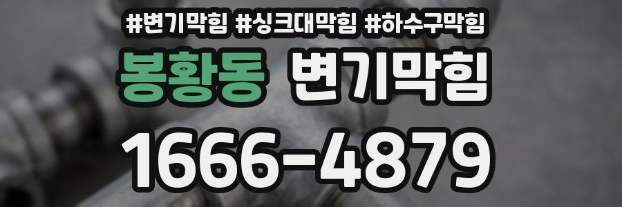 변기막힘