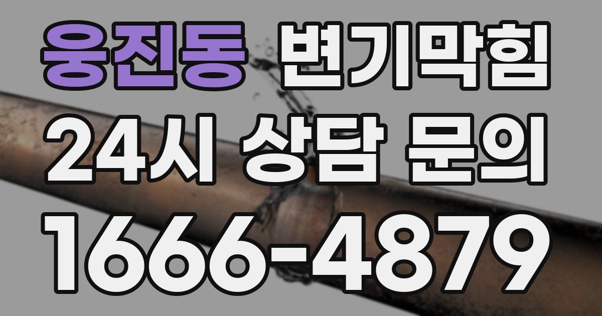웅진동 변기