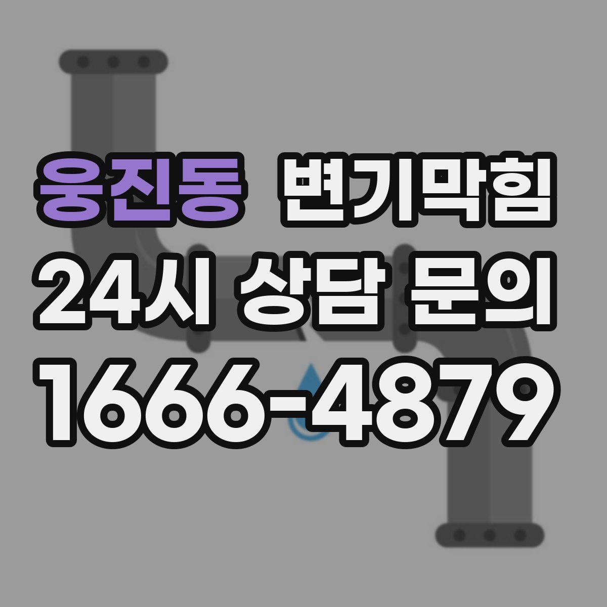 웅진동 변기막힘