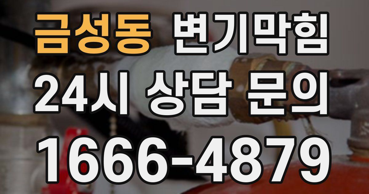 금성동 변기