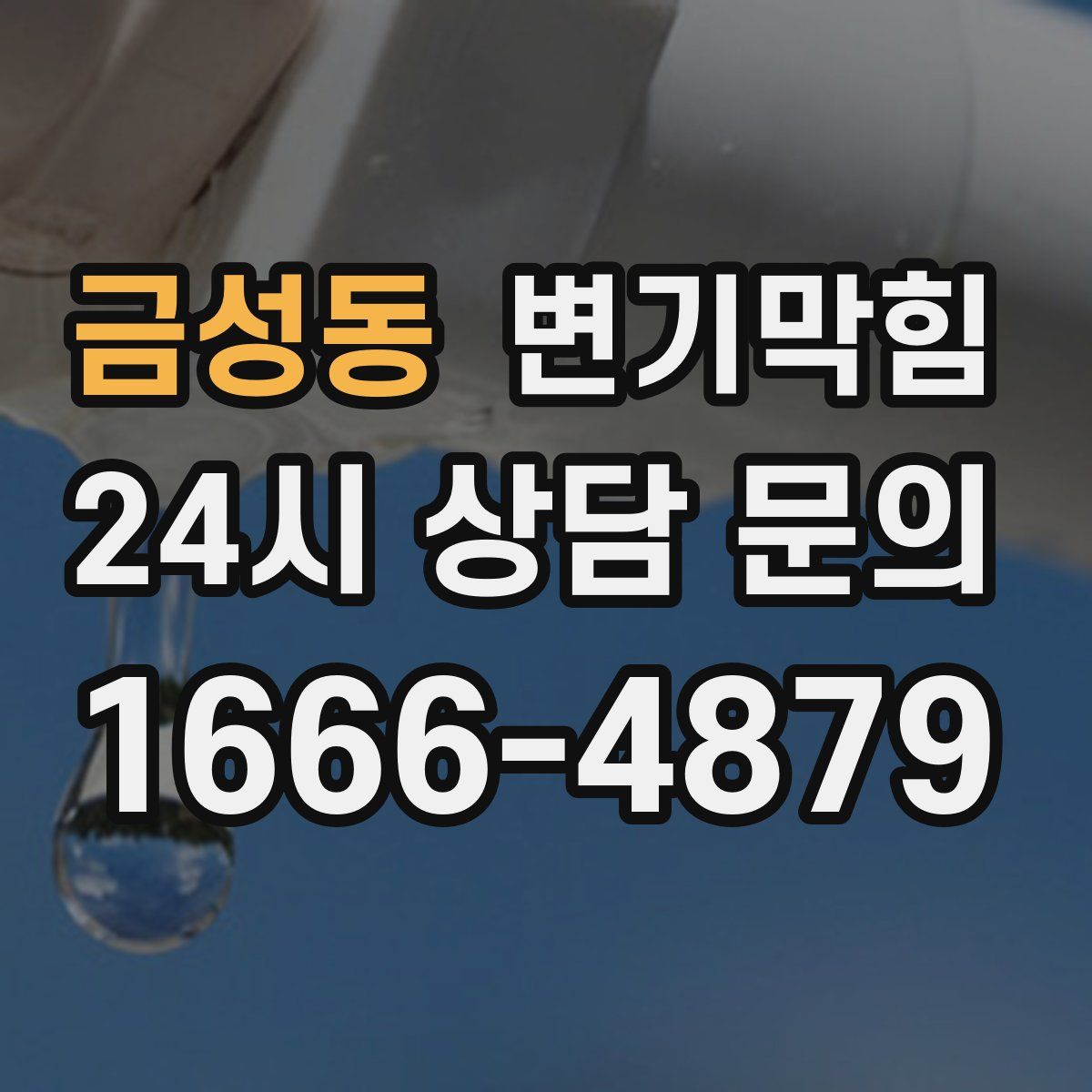 금성동 변기막힘