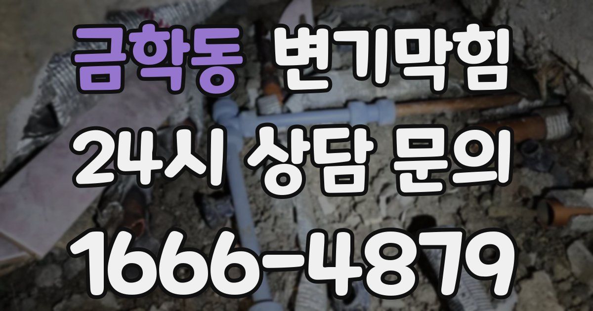 금학동 변기