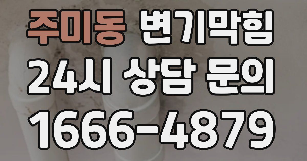 주미동 변기
