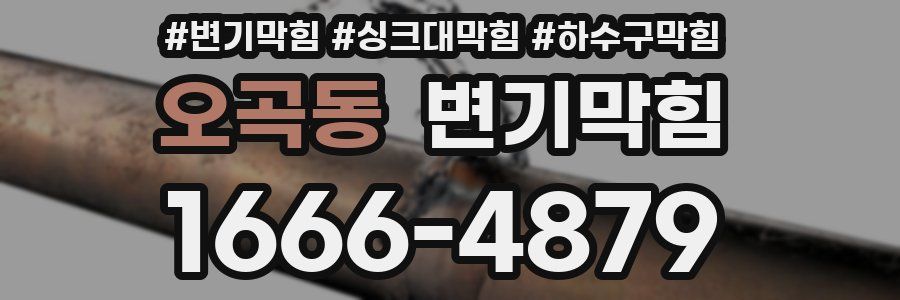 변기막힘