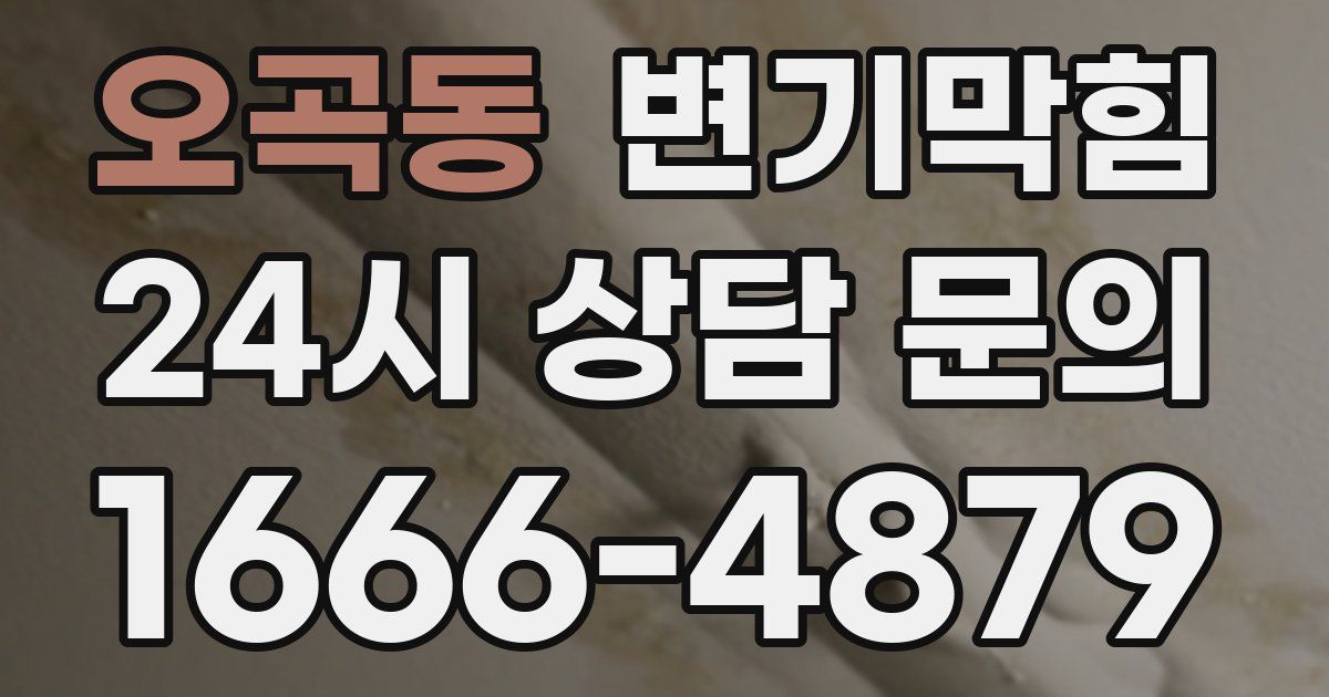 오곡동 변기