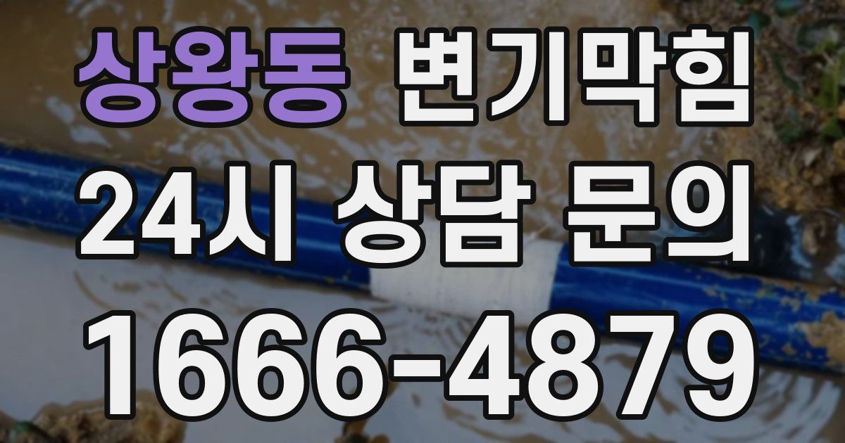 상왕동 변기