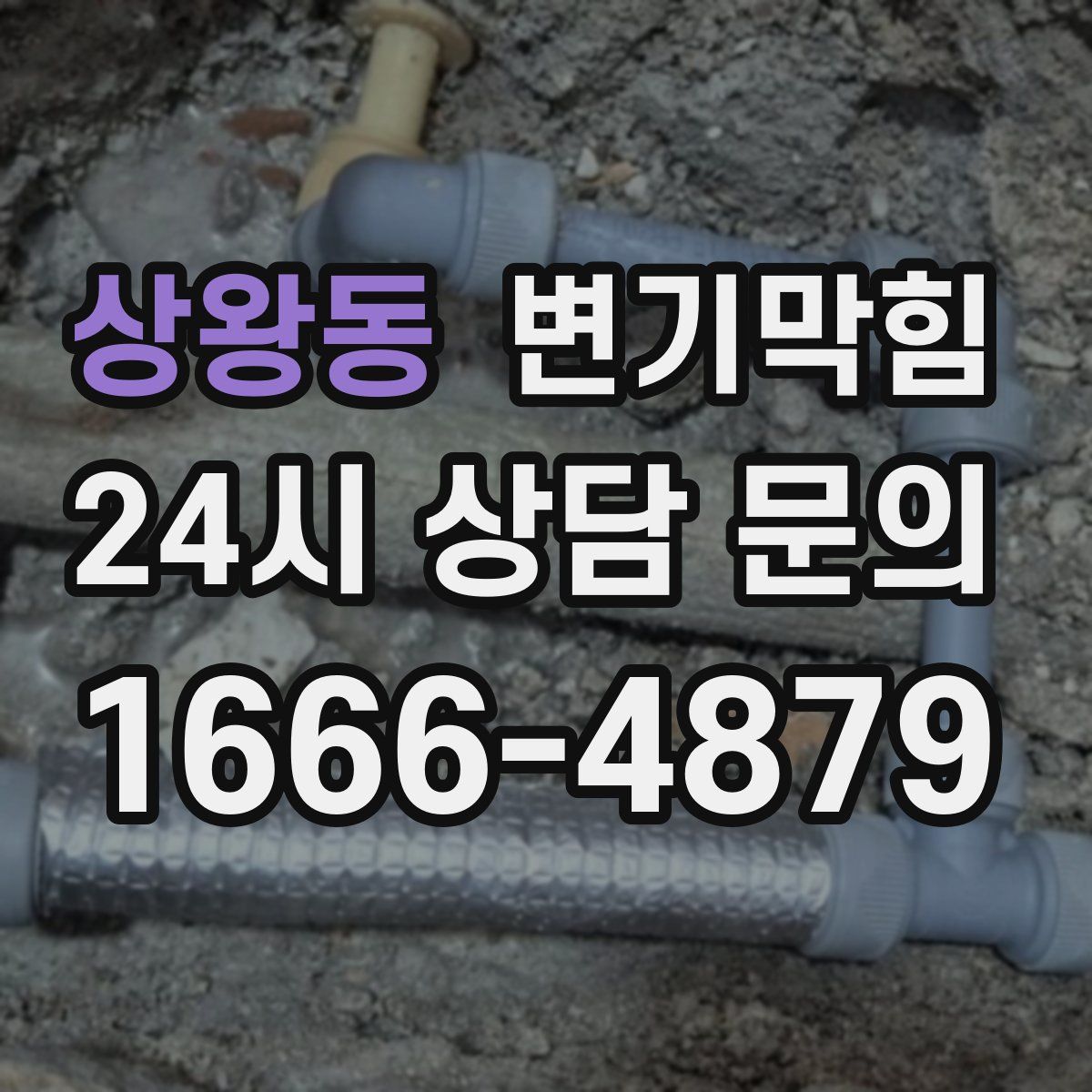 상왕동 변기막힘