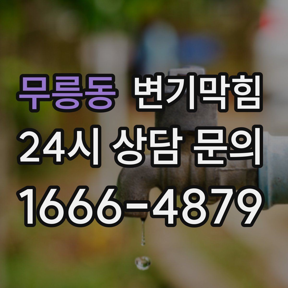 무릉동 변기막힘 사무실 배수구막힘 회의 전 30분 해결