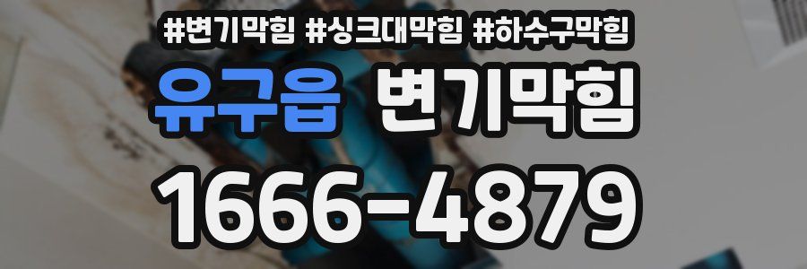 변기막힘