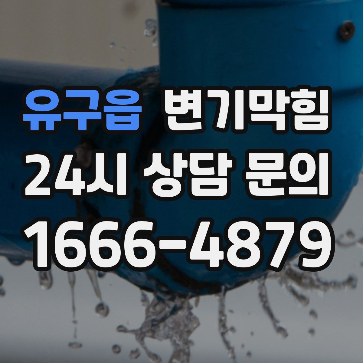 유구읍 변기막힘