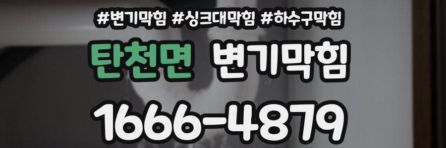 변기막힘