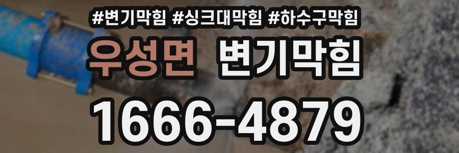 변기막힘