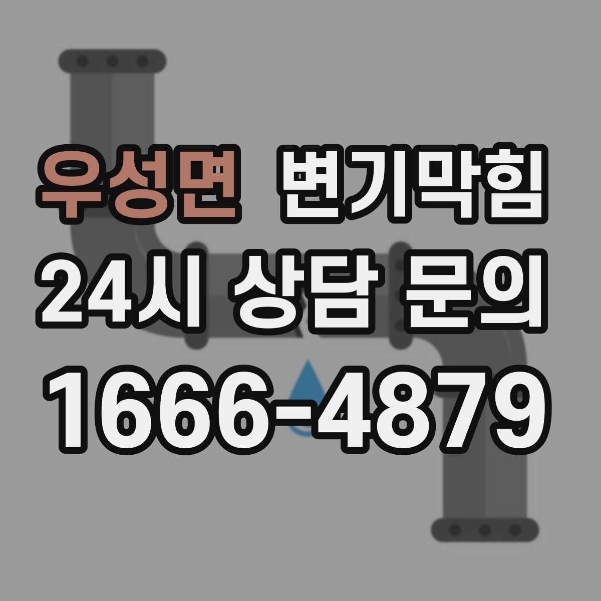 우성면 변기막힘