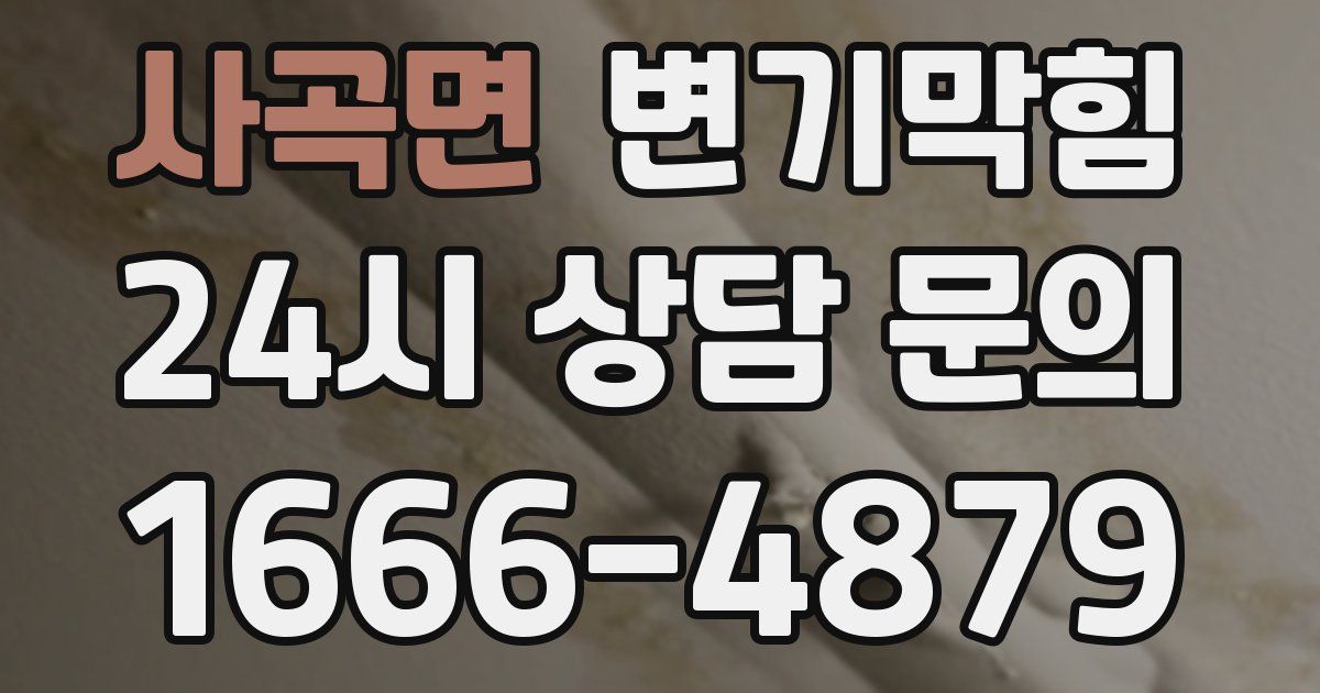 사곡면 변기