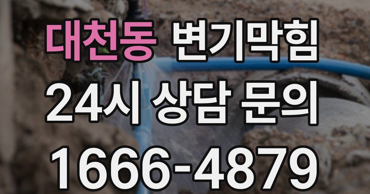 대천동 변기