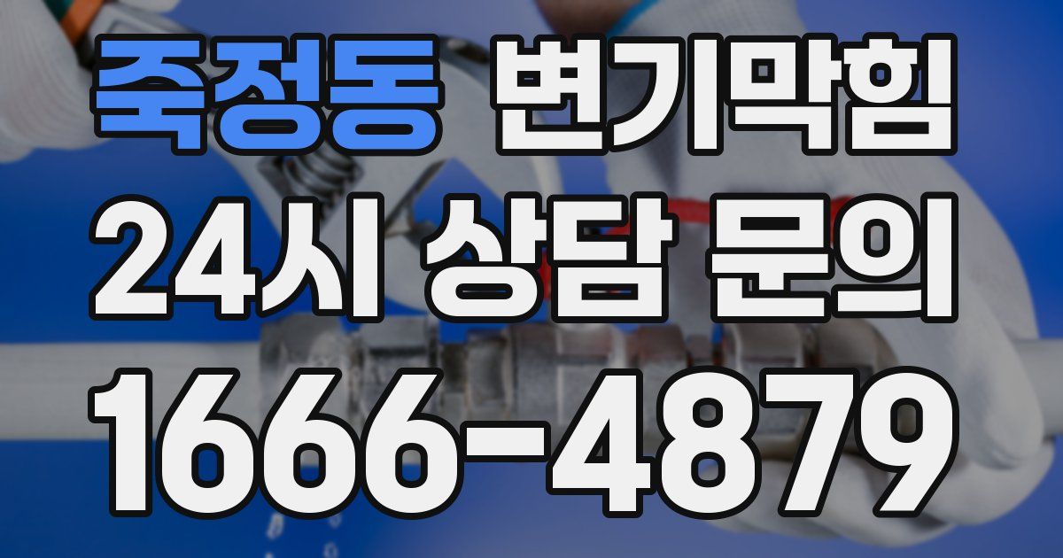 죽정동 변기