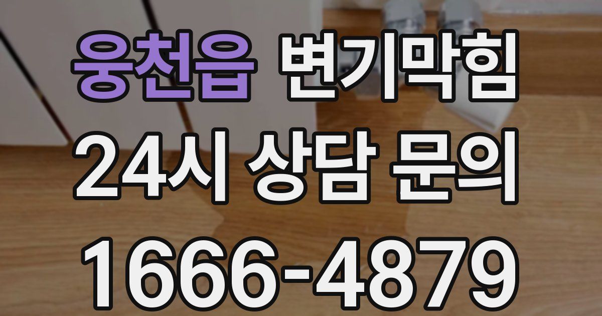 웅천읍 변기