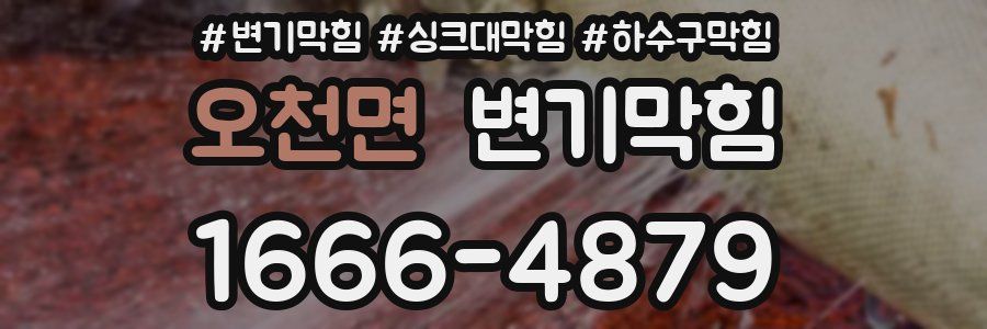 변기막힘