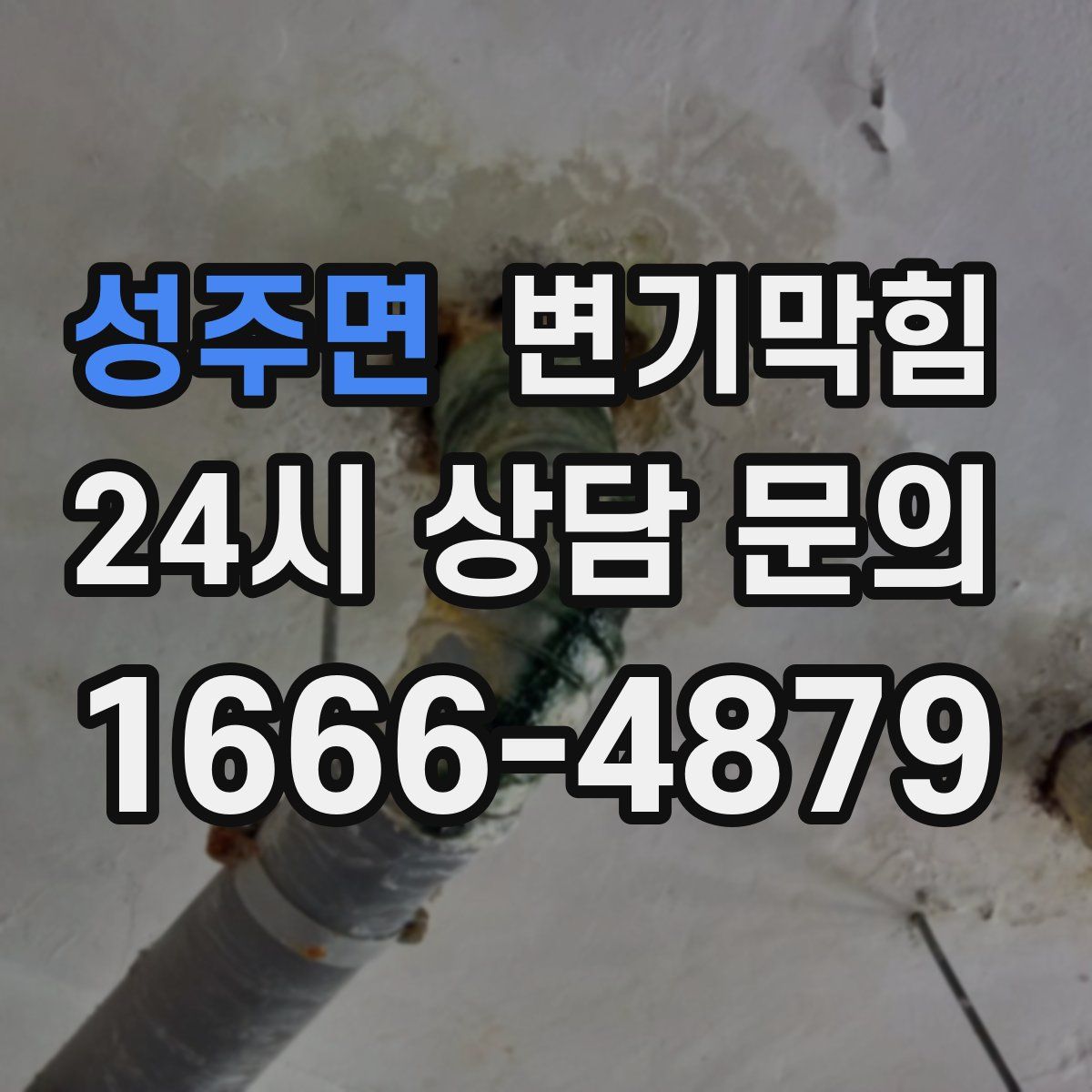 성주면 변기막힘