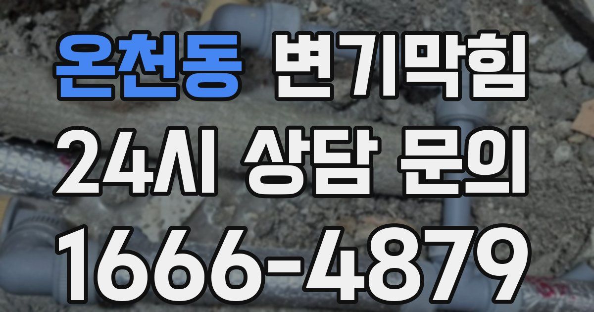 온천동 변기