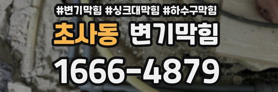 변기막힘