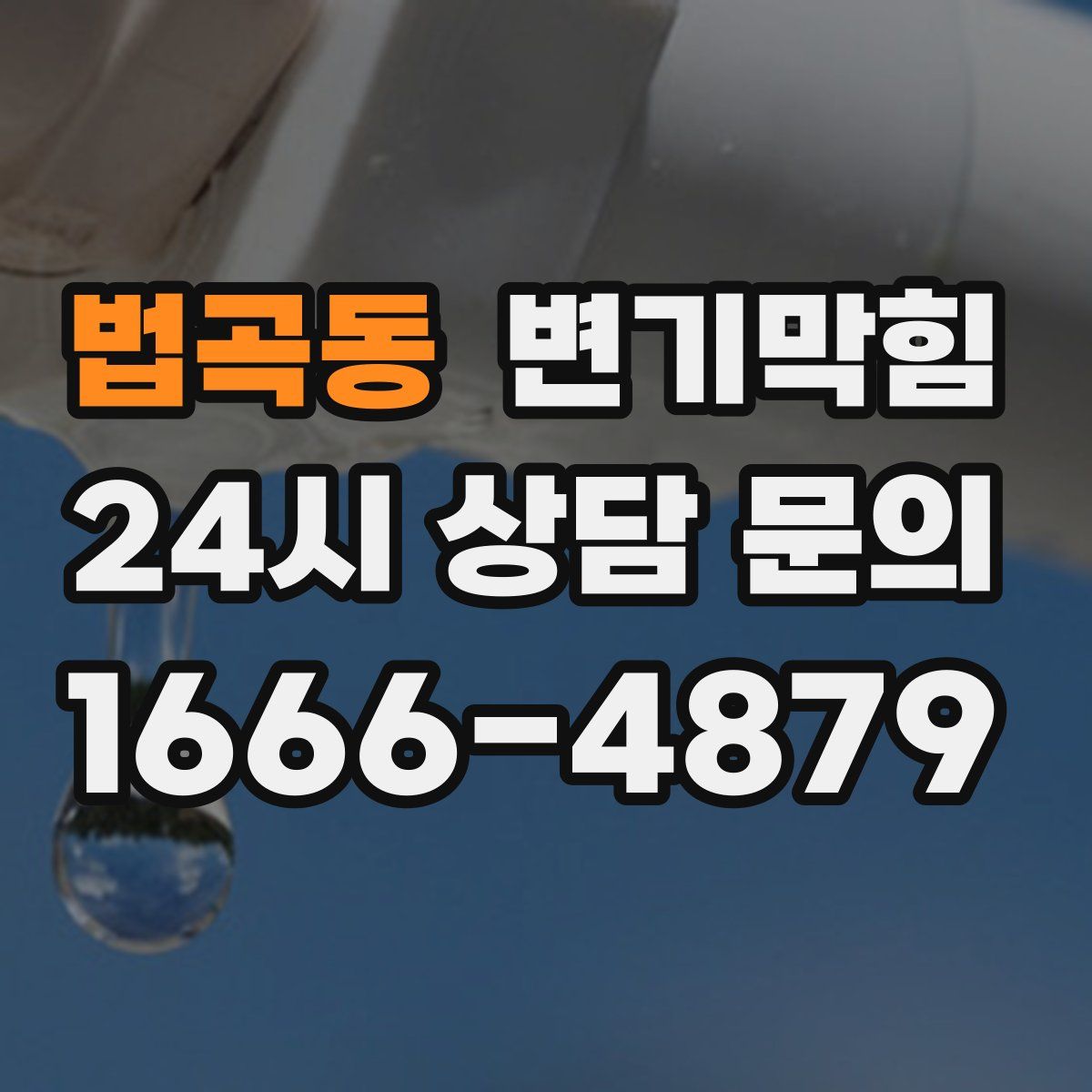 법곡동 변기막힘