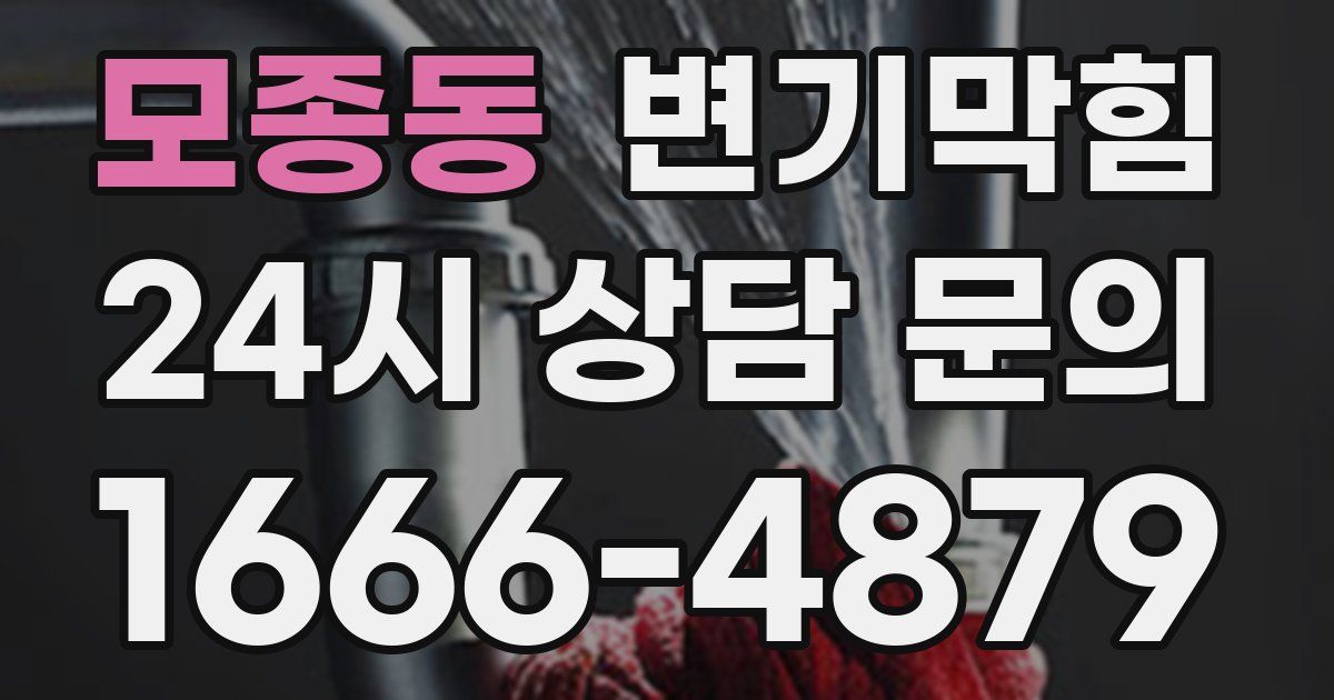 모종동 변기