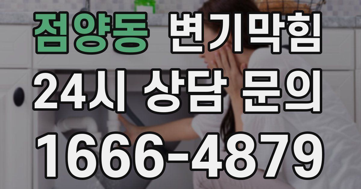점양동 변기