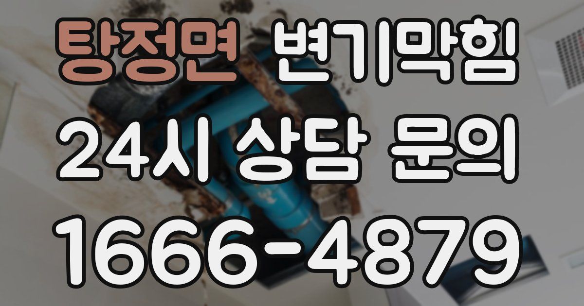 탕정면 변기