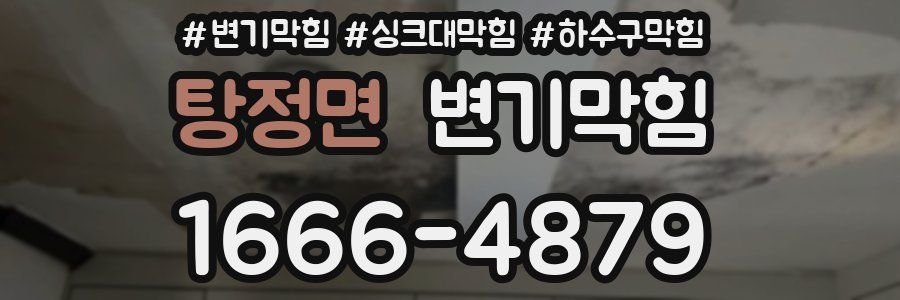 변기막힘